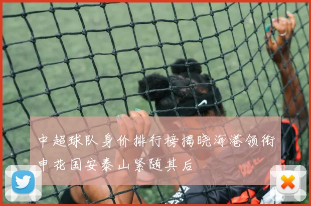 中超球队身价排行榜揭晓海港领衔申花国安泰山紧随其后