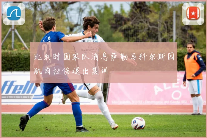 比利时国家队消息萨勒马科尔斯因肌肉拉伤退出集训